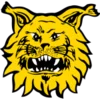 Ilves FC