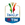 Icon Coppa Italia