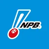 Japanese Nippon Professional Baseball